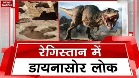 Remains of Dinasaurs