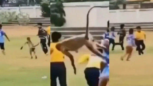 Cricket Match Viral Video