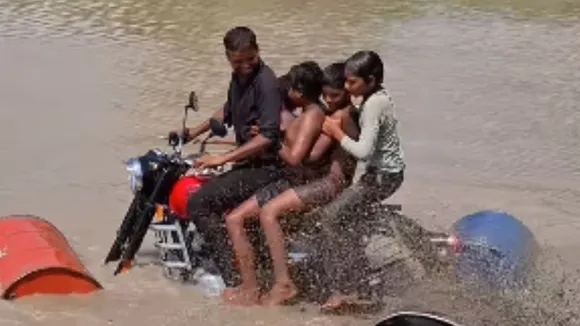 viral video (11)