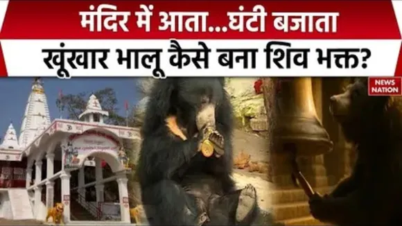 Shiv-Bhakt Bear