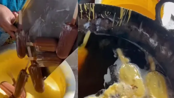 Ice cream pakora