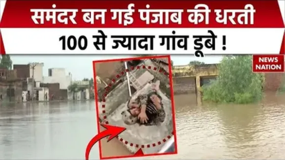 Flood in Punjab
