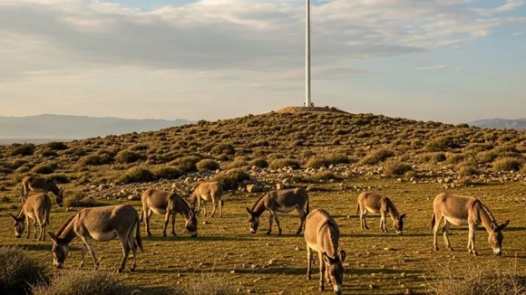 Know how much Pakistan Earns with selling Donkeys