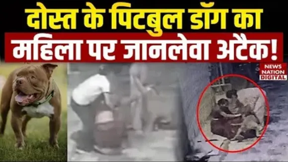 jhansi pitbull attack