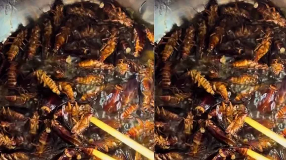 viral cockroach vegetable