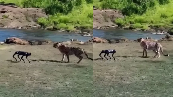 viral video robo dog