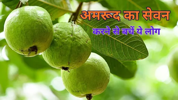 guava side effects