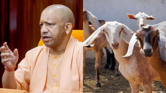 UP Pashudhan scheme