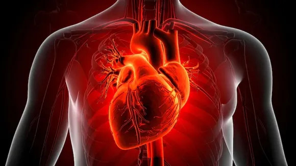 World Heart Day