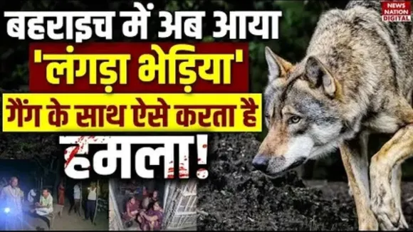 Baharaich wolf