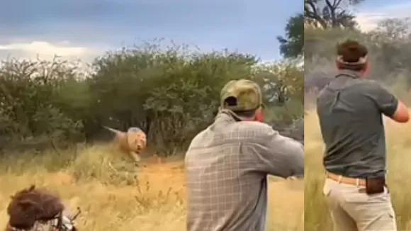 viral wildlife news (1)