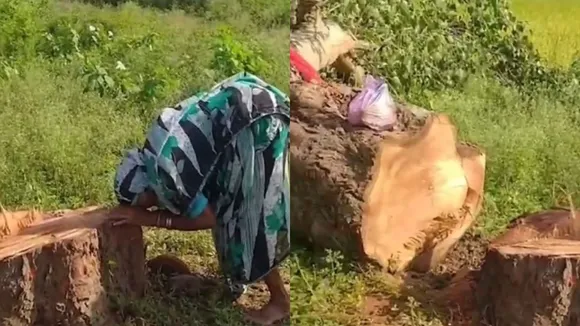 viral video  (9)