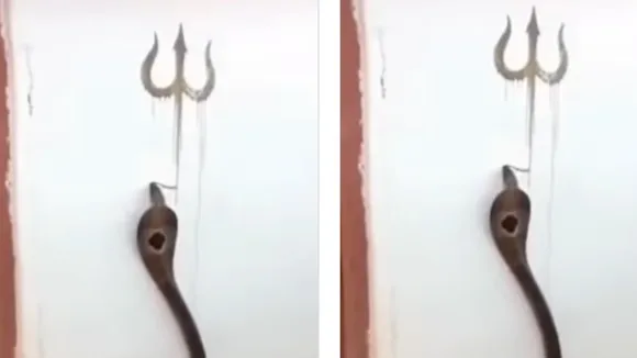 VIRAL COBRA VIDEO (6)