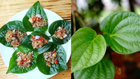 Betel Leaves