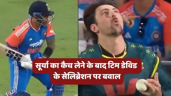 Tim David Catch Celebration Video