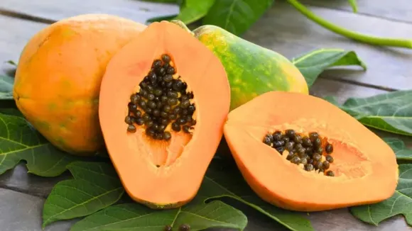 Papaya Health Risk
