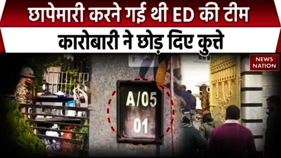 action on coal mafia