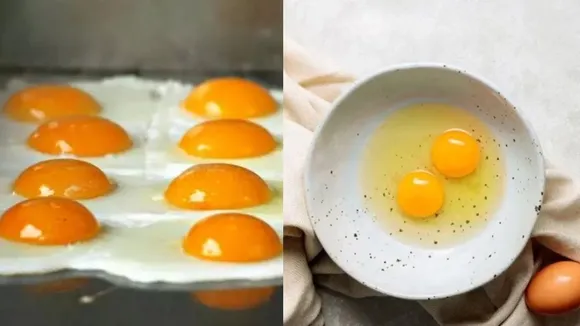 Egg Yolk Benefits