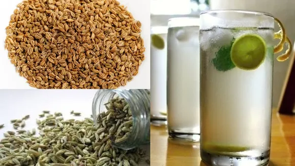 morning health boosters water with fennel ajwain jeera turmeric giloy shilajit triphala drink benefi