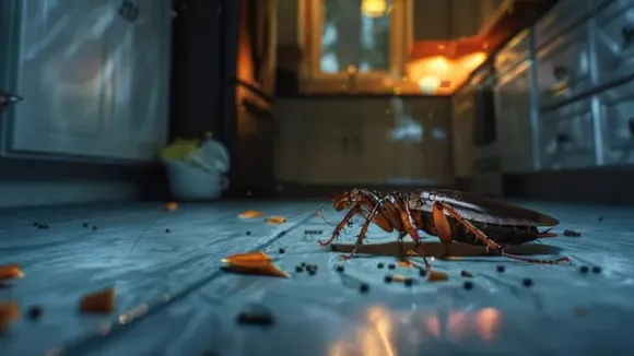 Cockroach Prevention Tips