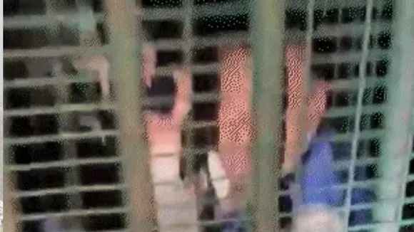Man trapped in Leopard Cage due to Goat in hindi