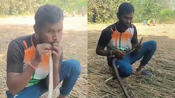 man giving snake cpr