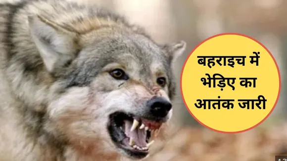 wolf-attack-in-bahraich