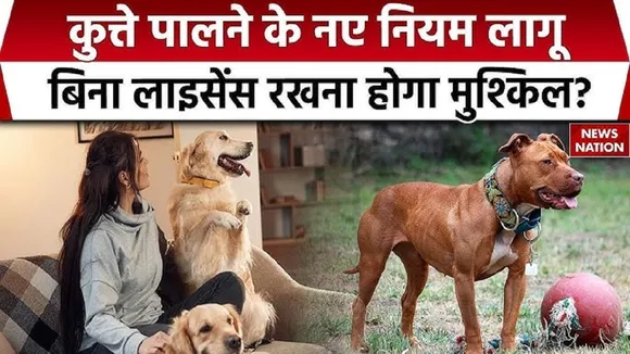 Dehradun Introduces Dog License By-Law