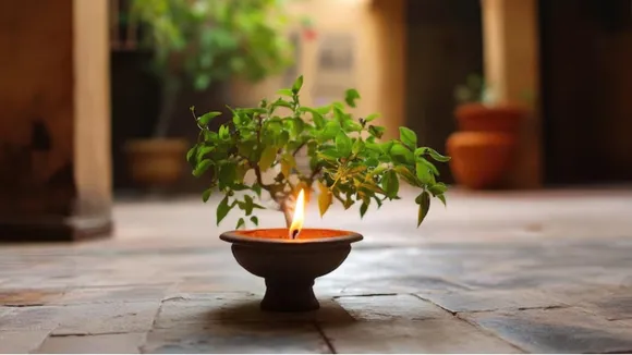 Tulsi Pujan Diwas 2025