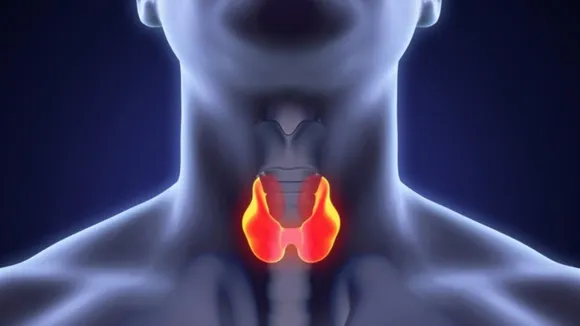 Thyroid Health Diet
