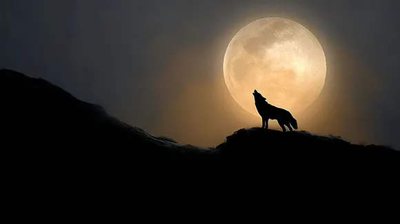 Wolf Supermoon 2026