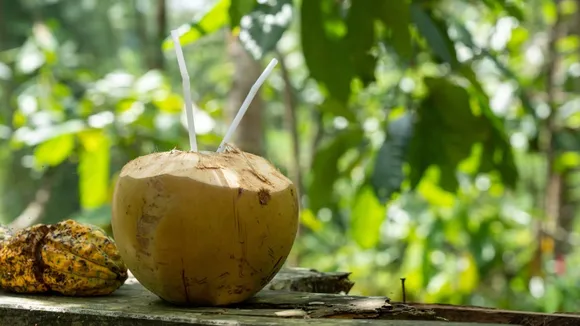 Coconut Water In Winters