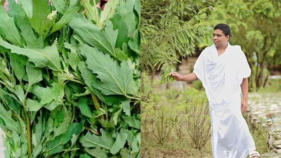 Acharya Balkrishna Tips (17)