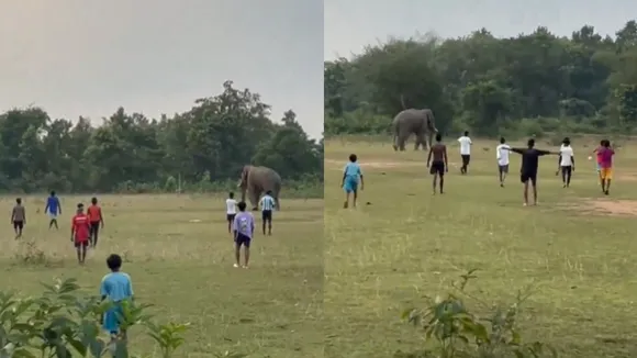 Viral Video Photograph (x)