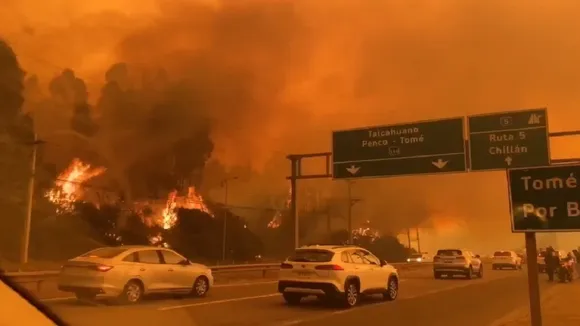 Chile forest fire