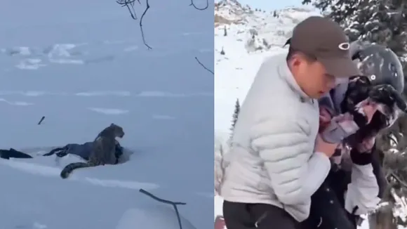 viral video skier attack leopard