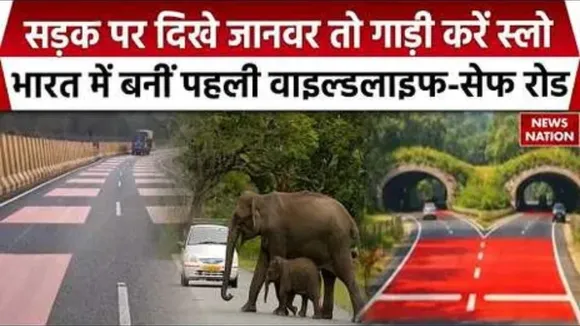 India-First-Wildlife-Safe-Road