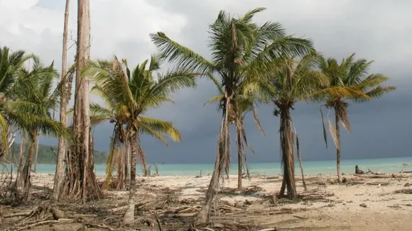 ग्रेट निकोबार प्रोजेक्ट, NGT मंजूरी, भारत का हांगकांग, ग्रेट निकोबार आईलैंड डेवलपमेंट, अंतरराष्ट्रीय ट्रांसशिपमेंट पोर्ट, अंडमान निकोबार मेगा प्रोजेक्ट, पर्यावरण विरोध, 81000 करोड़ प्रोजेक्ट, गलतिया बे पोर्ट, NGT ग्रीन सिग्नल, Great Nicobar Project, NGT approval, India Hong Kong, Andaman Nicobar mega project, environmental concerns, transshipment terminal, strategic importance 2026