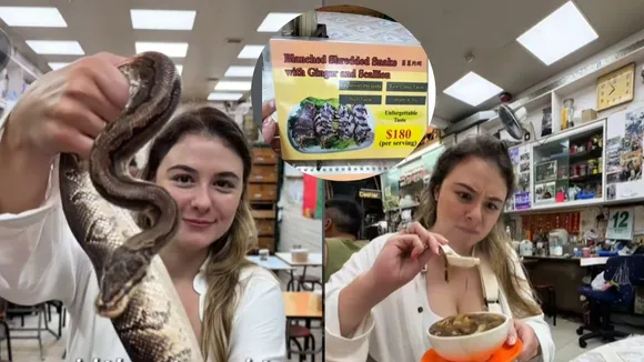 king cobra snake menu Hong Kong