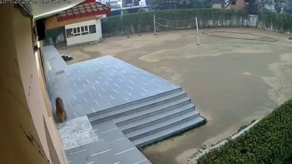 Leopard in ghaziabad