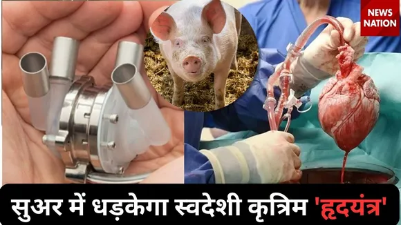 World Heart Day