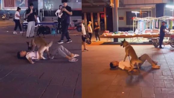 viral video (3)