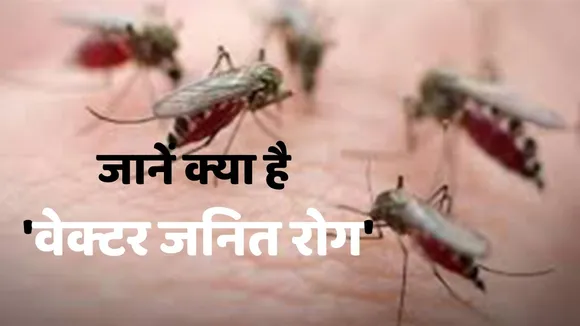 Vector-Borne Diseases in India
