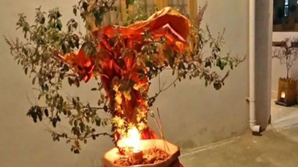 New Year 2025 Astrology For Tulsi Puja