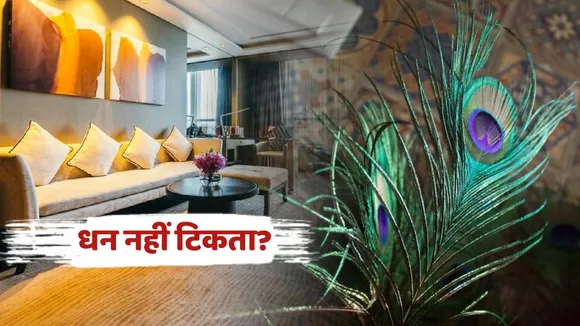 Peacock Feather Vastu Tips