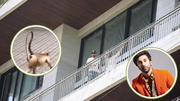 monkey entered Ranbir Kapoor house