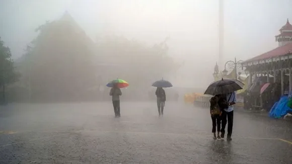 rain