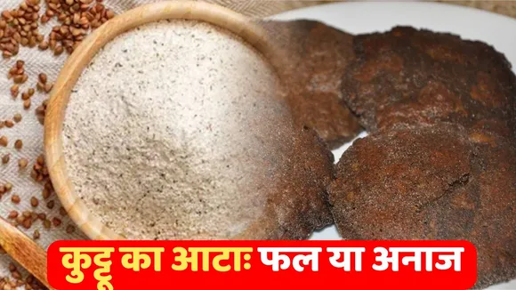 Kuttu ka Atta 
