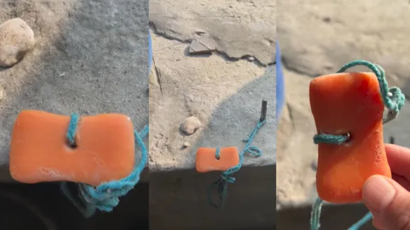 viral video (6)