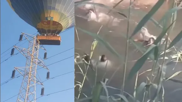 viral video news11